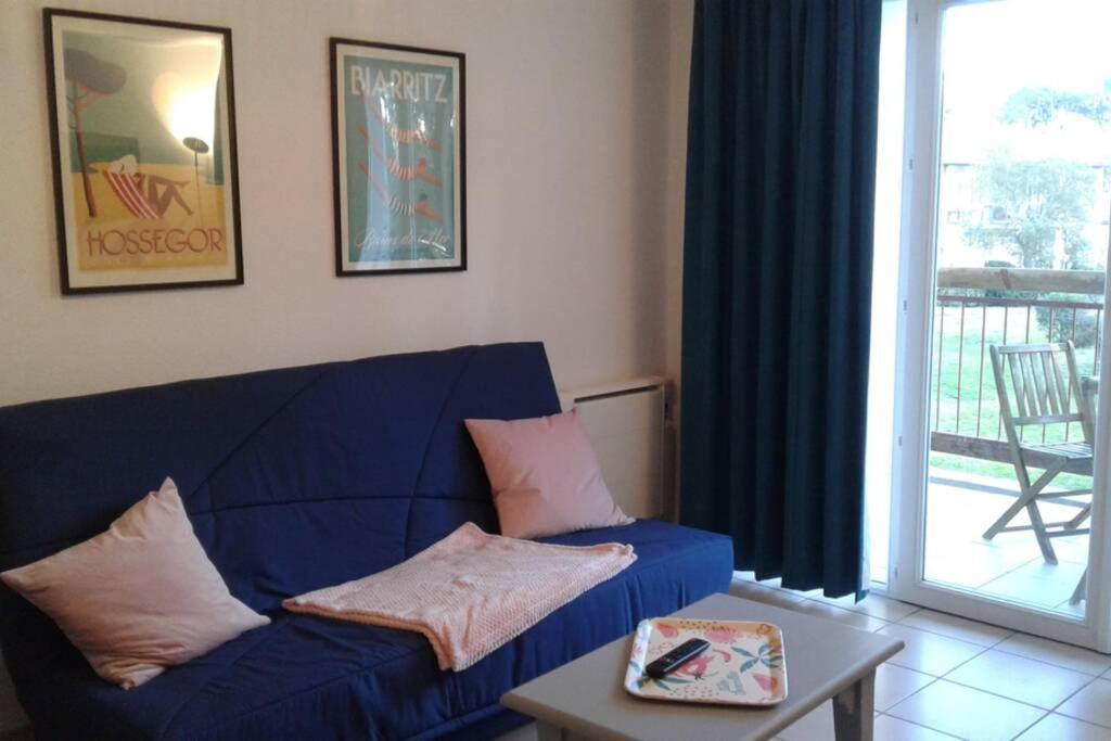 T2 Antigua Ondres Plage Avec Piscine Et Tennis Екстериор снимка
